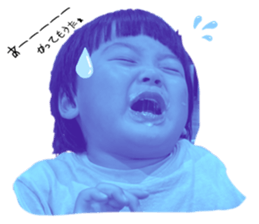 524940081