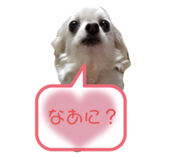 524947660