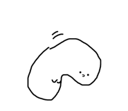 524953535
