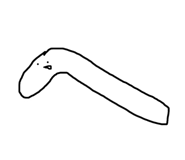 524953543