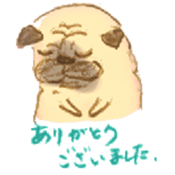 5249544