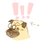 5249551