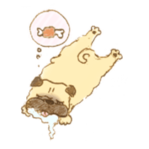 5249556