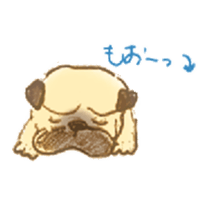 5249567