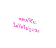 524956904