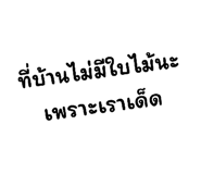 524956906