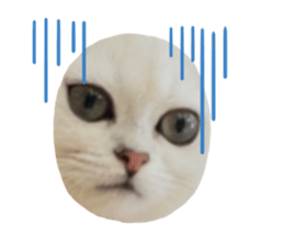 524981746