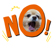 525003896