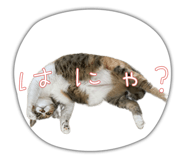 525017082