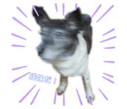 525021334