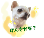 525042634