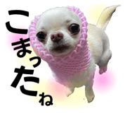 525042659