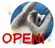 525042660