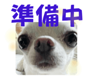 525042661