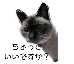 525077107