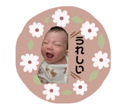 525087552