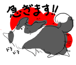 525202651