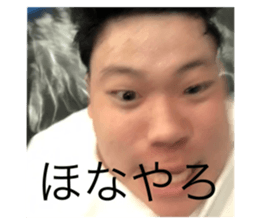 525213381