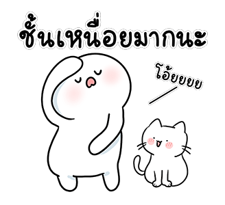 ลายที่ 23