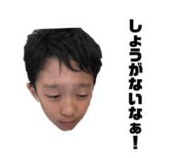 525228031