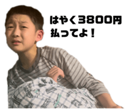 525228042