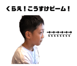 525228068