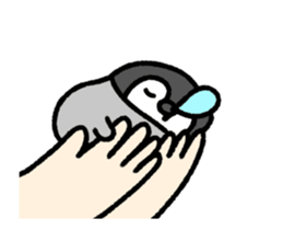 525230501