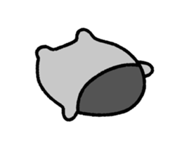 525230513