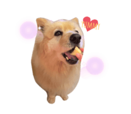 525233362