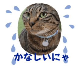 525288242