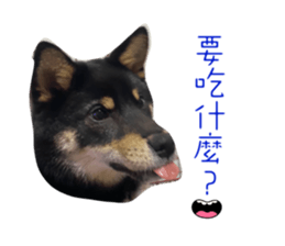 525296186