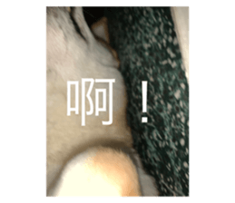 525314002