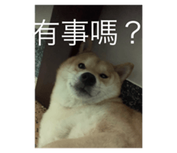 525314004