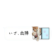 525327066