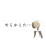 525327068