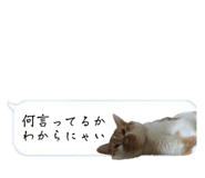 525327071