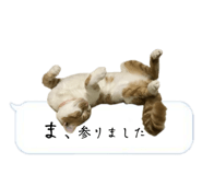 525327073