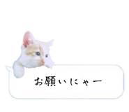 525327074