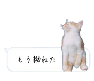 525327075