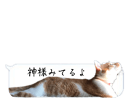 525327076