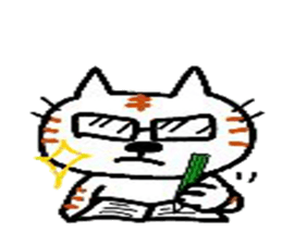 5253708