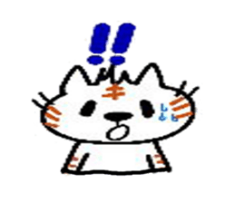 5253711