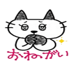 5253720
