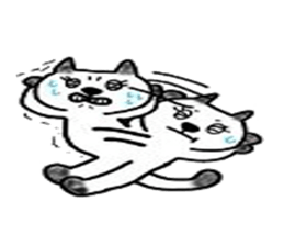 5253727