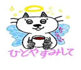 5253728