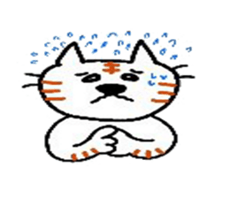 5253729