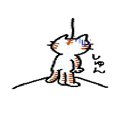 5253733