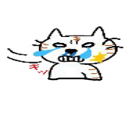 5253734
