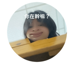 525380026