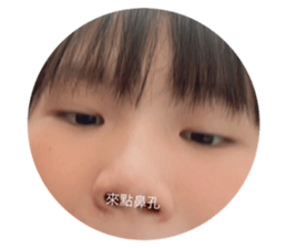 525391844